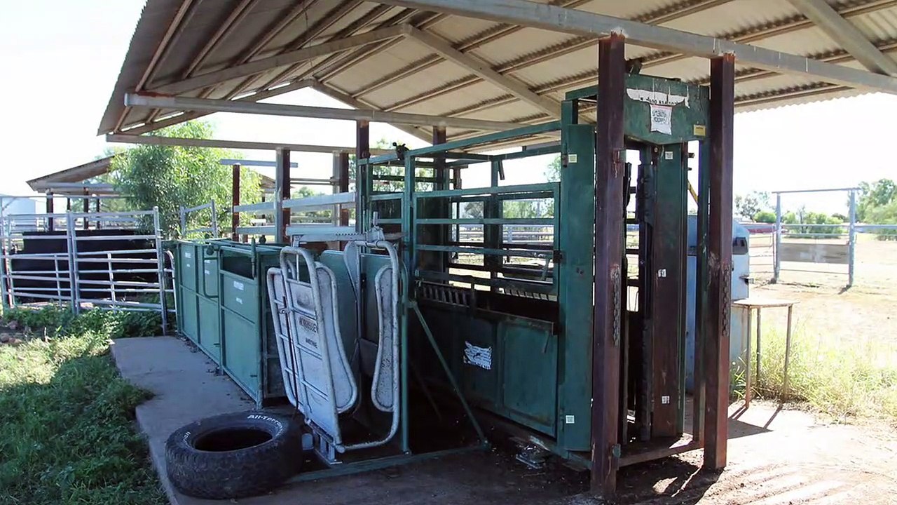 Emerald Farms, Emerald, Qld - September 30, 2022 - Farmonline