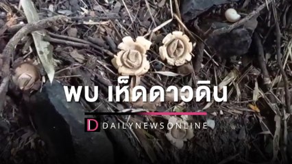 ชาวบ้านเชื่อพบ ‘เห็ดดาวดิน’ หายาก 1 ใน 10 ของโลก ไม่พลาดแห่ขอเลขเด็ด | HOTSHOT เดลินิวส์ 30/09/65