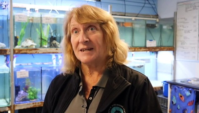 Ocean researchers tracking origins of rubbish collected from WA beaches