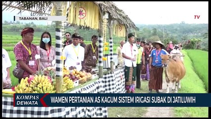 Wamen Pertanian AS Kagumi Sistem Irigasi Subak