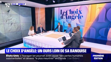 Le choix d'Angèle - à cause de la fonte des glaces, les ours polaires ont de plus en plus de difficultés à accéder à la banquise