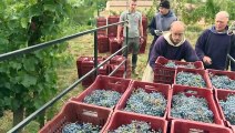 France: dans le Ventoux, des vendanges en soutane pour un vin équitable