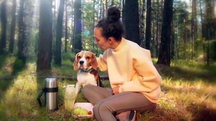 The 10 Insane Things Dogs do Instinctively