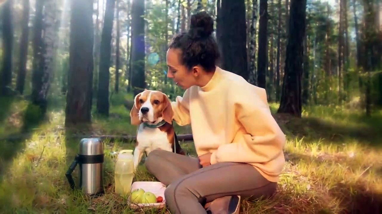The 10 Insane Things Dogs do Instinctively