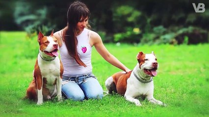 Your Pitbull will bite you on the left leg when he gets Old!