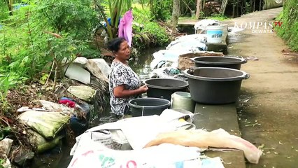 Harga Kacang Hijau Impor Naik, Produsen Tauge Kurangi Produksi