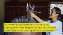 Notre sélection des meilleurs parfums naturels pour prendre soin de soi et de la planète