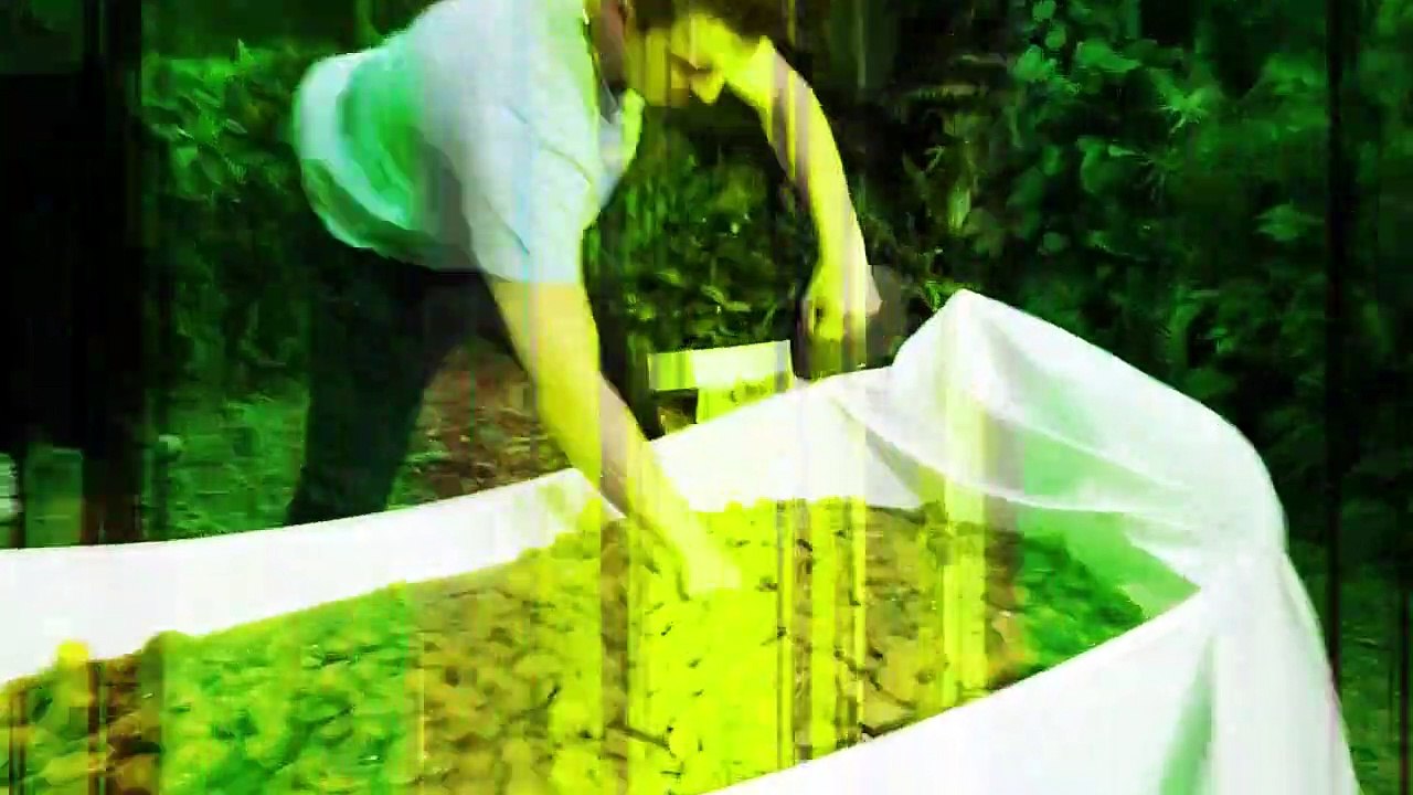 Would You Sit In Snakes For $10,000_-gaming_-games_-gamers_-mrbeast_-mrbeastgaming