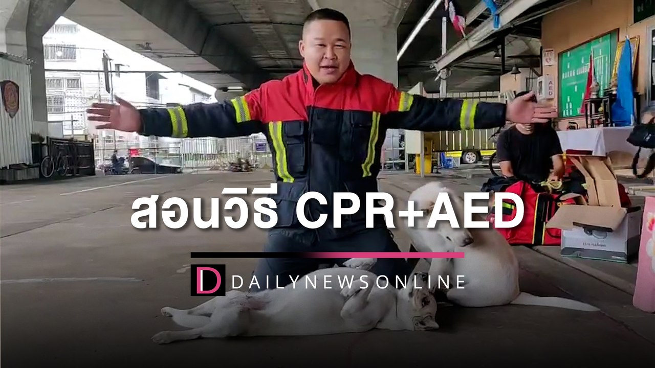 ‘นักดับเพลิง-เจ้าตูบ’ ใช้หลัก 6ป. สอนวิธี CPR+A...