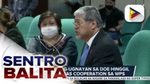 P20.3-B proposed budget ng DFA, sumalang na sa Senado