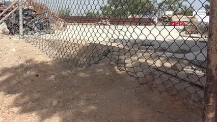 Son dakika haberi: BELEDİYENİN KEDİ EVİ'NE PİTBULL SALDIRISI