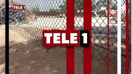 Belediyenin Kedi Evi’ne giren 3 pitbull, 12 kediyi katletti