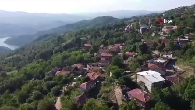 Bursa ekonomi haberleri | Bursa'daki köyü gören Karadeniz sanıyor...Yılda 60 ton fındık üretiyorlar