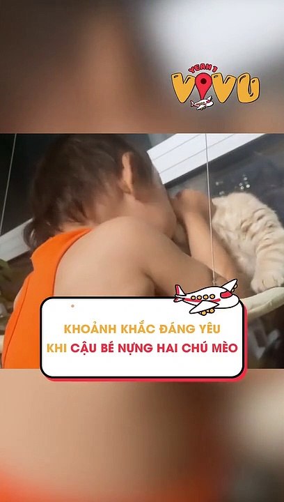 Khoảnh khắc đáng yêukhi cậu bé nựng hai chú mèo