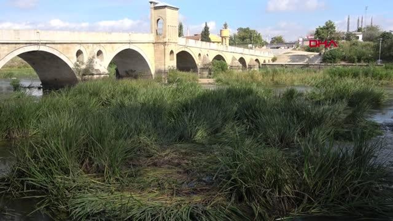 TUNCA NEHRİ OTLARLA KAPLANDI, BAYIR DERESİ ÇÖPLÜĞE DÖNDÜ
