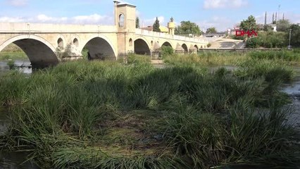 TUNCA NEHRİ OTLARLA KAPLANDI, BAYIR DERESİ ÇÖPLÜĞE DÖNDÜ