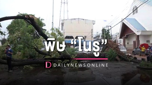 พิษ “โนรู” กาฬสินธุ์ฝนกระหน่ำน้ำเต็ม 6 อ่าง ระทึกต้นไม้ 100 ปี ทับรถพัง | HOTSHOT เดลินิวส์ 30/09/65