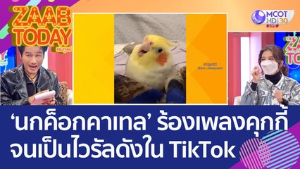 เอ็นดู 'นกค็อกคาเทล' ร้องเพลงคุกกี้ จนเป็นไวรัลดังใน TikTok (30 ก.ย. 65) แซ่บทูเดย์