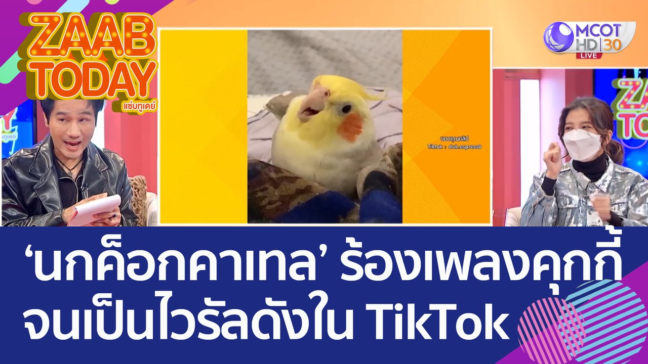 เอ็นดู 'นกค็อกคาเทล' ร้องเพลงคุกกี้ จนเป็นไวรัลดังใน TikTok (30 ก.ย. 65) แซ่บทูเดย์