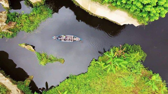 Nature Background Video No Copyright | Copyright Free Nature Videos | Free Nature Stock Video