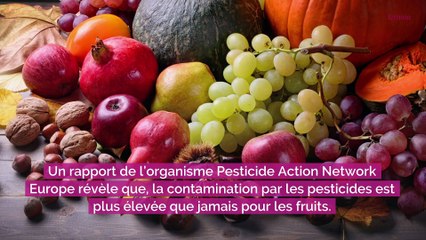 Pesticides : attention, ces trois fruits d’automne figurent parmi les plus contaminés
