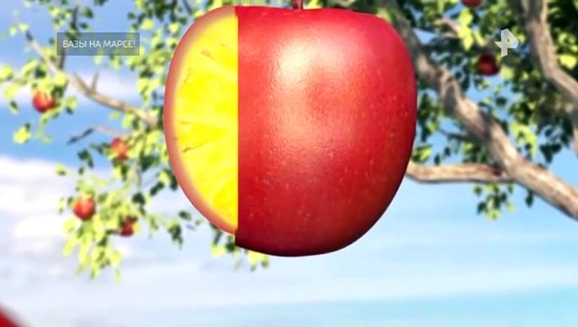 Самые шокирующие гипотезы (30.09.2022)