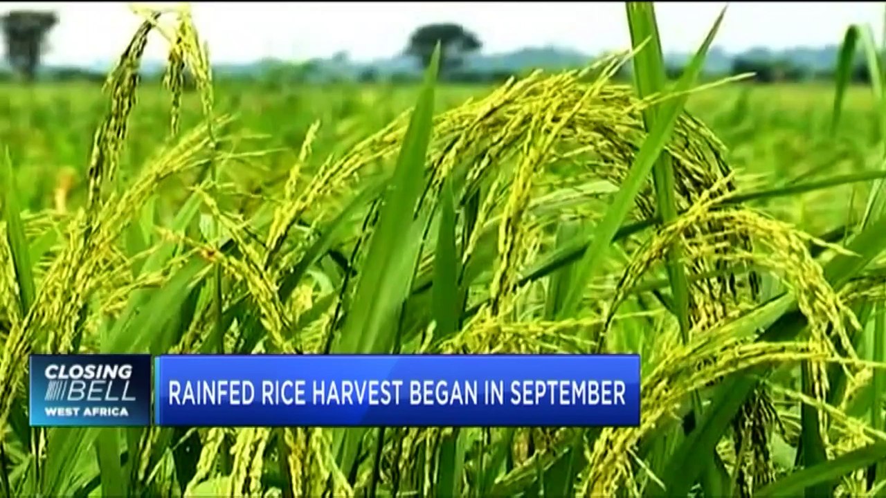 Floods threaten food security in Nigeria