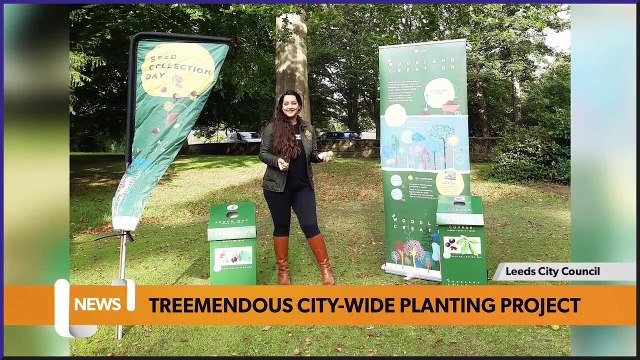 Leeds Headlines September 30: Leeds City Council cancels 2022 bonfire and fireworks events