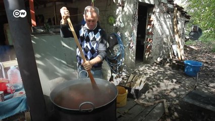 Ajvar aus Leskovac in Südserbien: 15 Tonnen handgepflückte Paprika