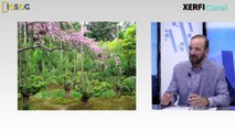 L’entrepreneuriat Daisugi : l’art de faire pousser des arbres sur des arbres [Christophe Deshayes]