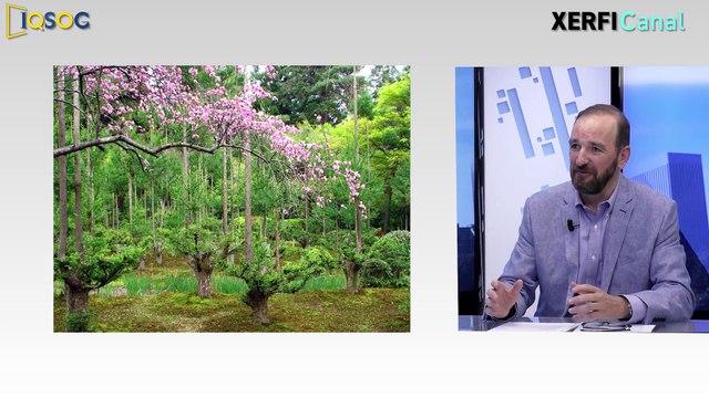 L’entrepreneuriat Daisugi : l’art de faire pousser des arbres sur des arbres [Christophe Deshayes]