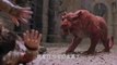 A boy fighting with red tiger  || Fight scene || A Hollywood movie scene ||