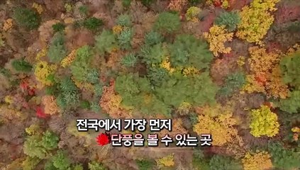 [영상구성] 울긋불긋 물드는 가을, 올해 단풍 절정은?