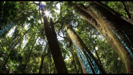 MISSION RÉGÉNÉRATION Film