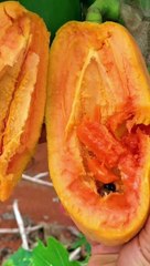 Chinese Sweet fruit cutting.