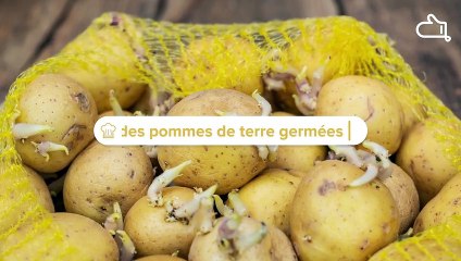La bonne question : peut-on manger des pommes de terre germées ?