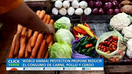 World Animal Protection responsabiliza a industria de animales en aumento de emisiones