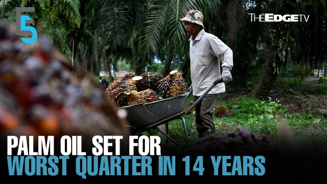 EVENING 5: Palm oil set for worst quarter in 14 years