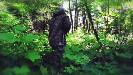 Is the Cane Corso Illegal for Hunting? What You Need to Know 🐕