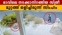 നടക്കാനിറങ്ങിയ സ്ത്രീയെ പര്‍വ്വത സിംഹം ചെയ്തത്, ഞെട്ടിക്കും വീഡിയോ