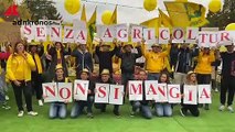 Energia, la Coldiretti protesta a Milano