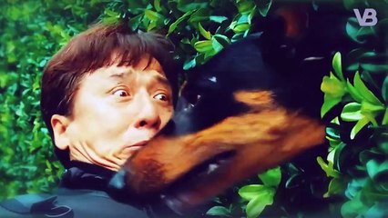 Dobermans Are Bred to be Aggressive!