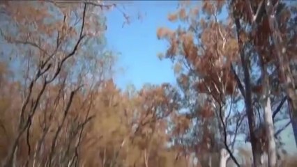 INCH INCH DUNGA TERA NAA  !! PUNJABI SAD SONG !! Arun Sharma !!