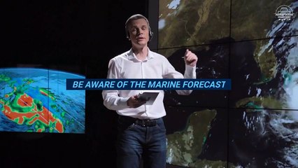 The Best Cues For Making A Whale Watching Tour Successful