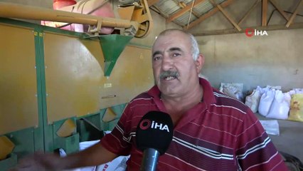 Buğday üretiminde rekor kırılan Sivas’ta yeni sezona hazırlık başladı