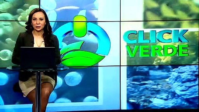 Alemania inauguró la primera flota de trenes de hidrógeno del mundo