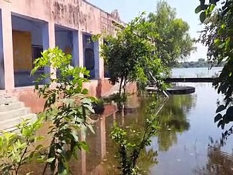 video: विद्यालय परिसर में भरे पानी से होकर कक्षा-कक्ष में पहुंच रहे विद्यार्थी