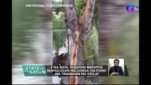 4 na bata, sugatan matapos mahulugan ng sanga ng puno na tinamaan ng kidlat | SONA