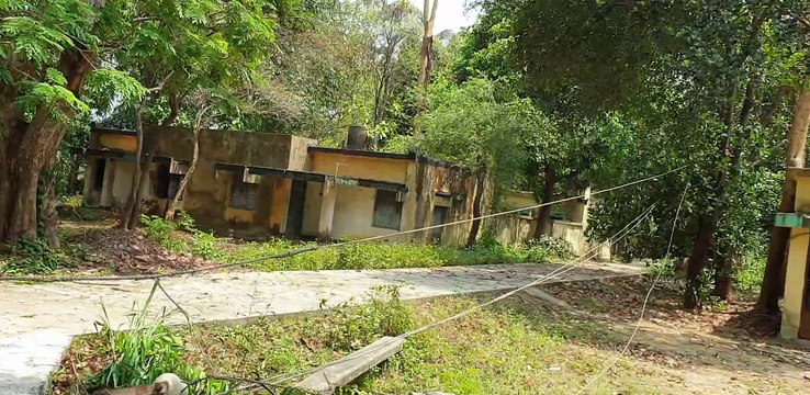 cyclone in Odisha , Cyclone Effect Trees Uprooted, Electric Poles Damaged In chiplima sambalpur