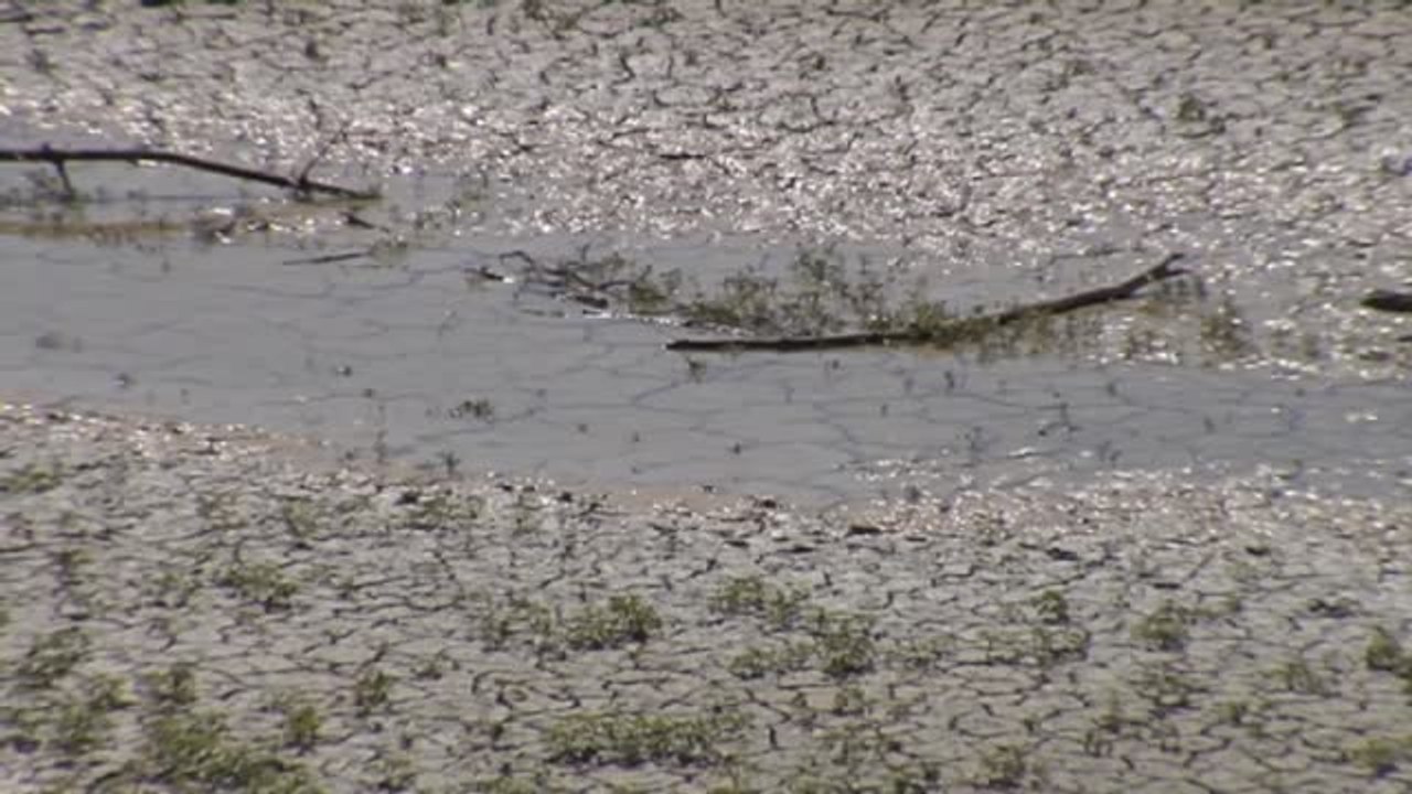 Tercer año hidrológico más seco desde que hay registros y con una grave situación en los embalses